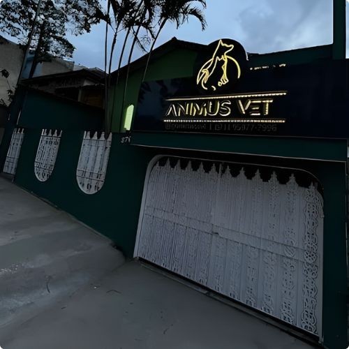 Animus Vet - Clínica e Hospital Veterinário 24 horas