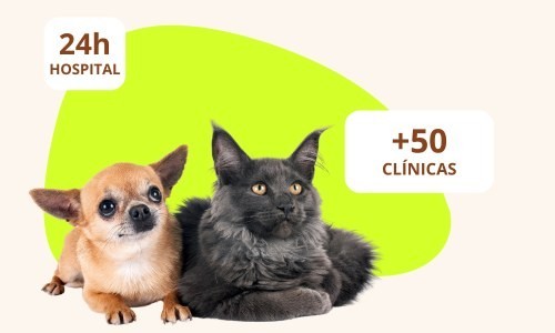 + 50 unidades veterinárias em São Paulo